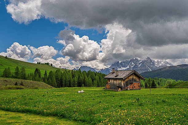 istock landscape inside the Dolomites, Val di Fassa, Italy 2248737011