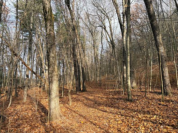 istock Mount Sugarloaf State Reservation in South Deerfield, Massachusetts 2248741546
