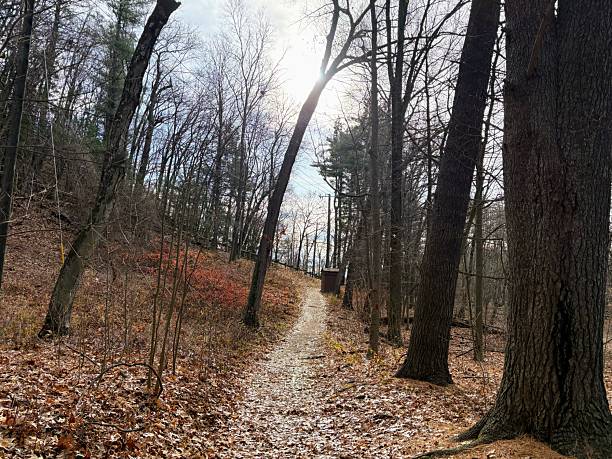 istock Mount Sugarloaf State Reservation in South Deerfield, Massachusetts 2248741547