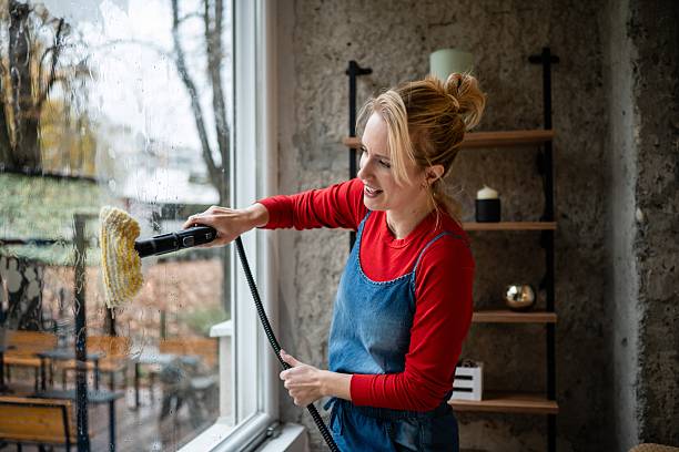 istock Woman cleaning window using steam cleaner at home 2248743842