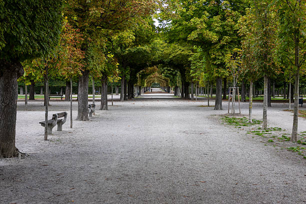 Allee in einem Park in Wien