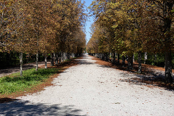 Allee in einem Park in Wien