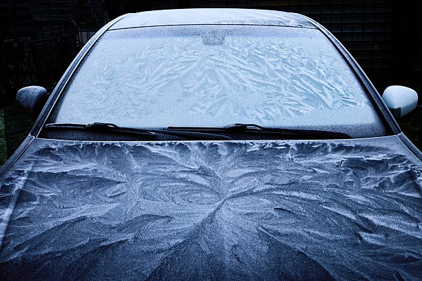 A car covered in intricate frost patterns on a cold morning, showcasing natural geometric designs.