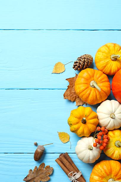 istock Seasonal celebration layout: Overhead composition displaying pumpkins and leaves. Blue backdrop, offering space for text or promotions 2248763355