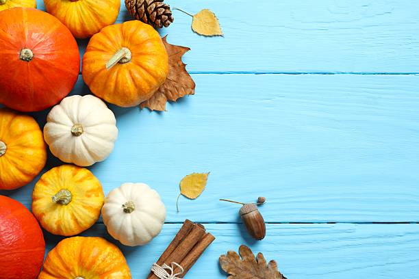 istock Seasonal celebration layout: Overhead composition displaying pumpkins and leaves. Blue backdrop, offering space for text or promotions 2248763358