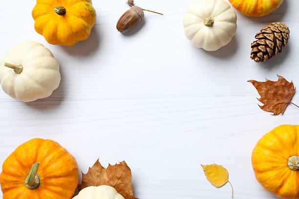istock Thanksgiving heritage view. Top view shot of pumpkins, leafage, on white blue surface, text or advert space 2248763455