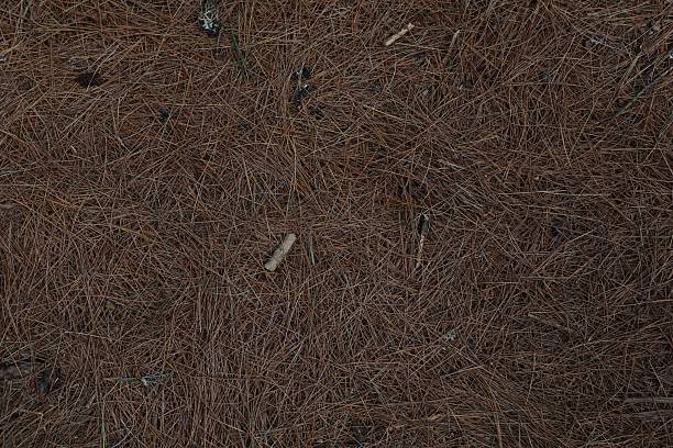 Asphalt Background