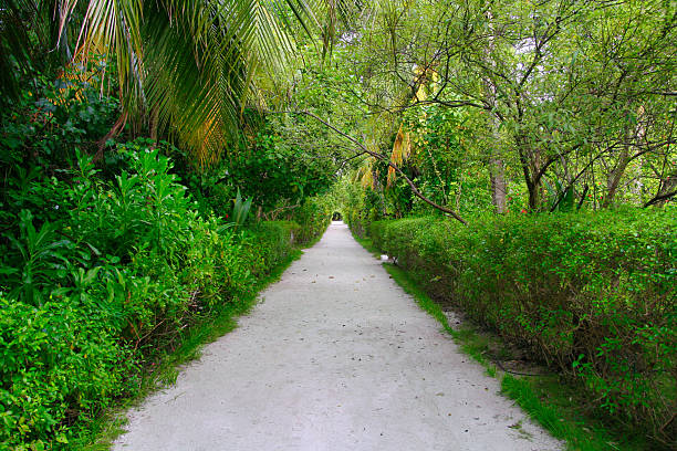 Tropical paradise beach scene for background or wallpaper