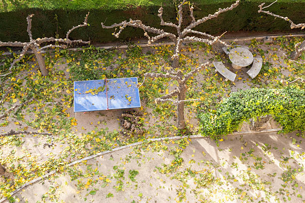 Overhead view showing a backyard garden with freshly pruned trees, covering the ground and a ping-pong table with scattered autumn leaves, indicating recent gardening work