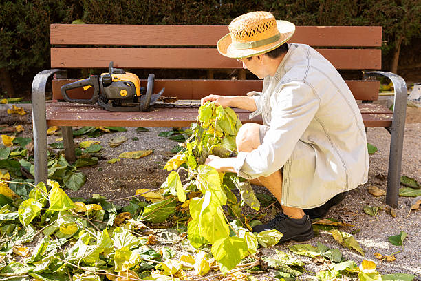 Mature adult man wearing a straw hat and light clothing, squatting outdoors while collecting cut tree branches and leaves from the ground near a wooden bench, with a chainsaw resting beside him