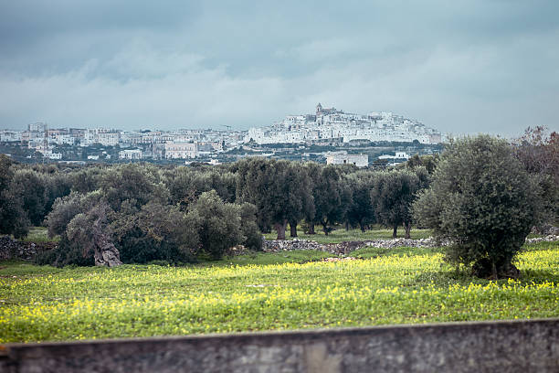 istock Ostuni s whitewashed hilltop buildings rise above a landscape of olive trees and green fields. The historic White City stands out under a cloudy sky, creating a serene and atmospheric Puglian scene. 2248781602