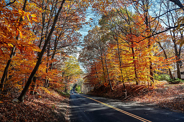 istock Sunlit road winding through vibrant fall foliage in Connecticut 2248786629