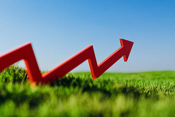 istock Red Arrow Rising On Green Grass Growth Success Concept Copy Space.3d rendering 2248790810