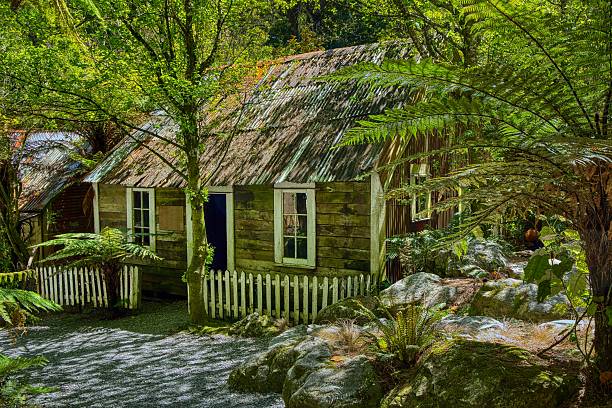 istock New Zealand Bush House 2248799439