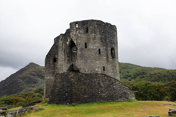 Ruins of the famous Raglan Castle in Wales. This view includes the moat and gatehouse.