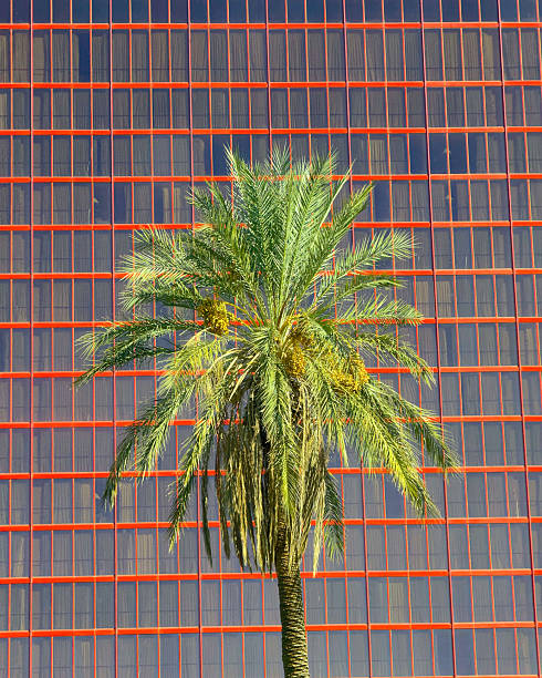 istock Las Vegas Hotel 2248808965