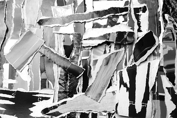 Black and white poster paper, torn into numerous pieces.