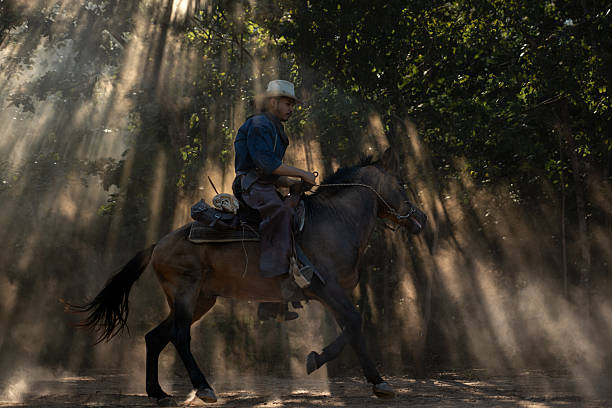 A cowboy riding a horse through dramatic rays of sunlight shining between the trees, creating a cinematic western atmosphere