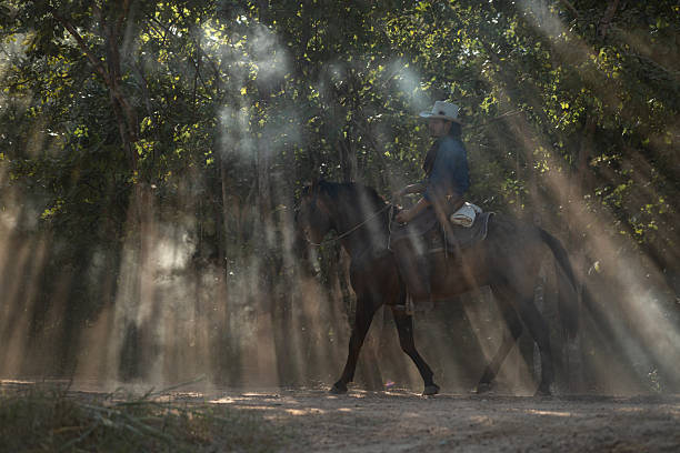 A cowboy riding a horse through dramatic rays of sunlight shining between the trees, creating a cinematic western atmosphere