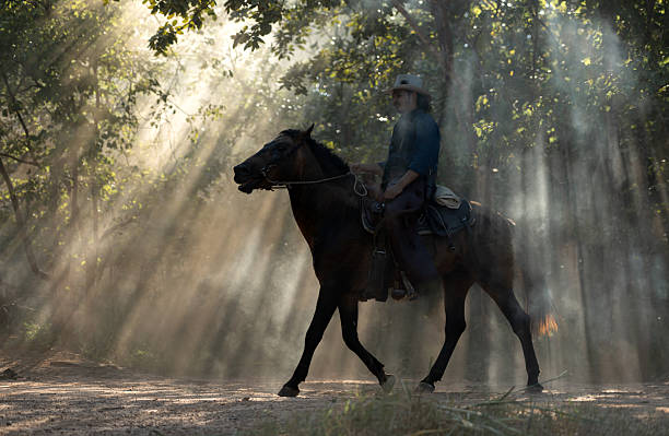 A cowboy riding a horse through dramatic rays of sunlight shining between the trees, creating a cinematic western atmosphere