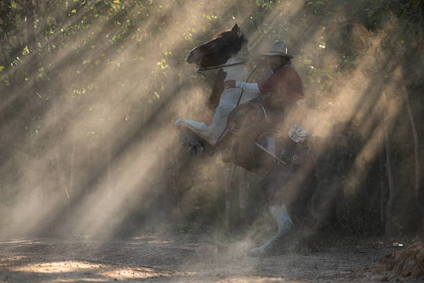 istock A cowboy riding a horse through dramatic rays of sunlight shining between the trees 2248816525
