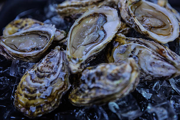 istock freshly shucked local dibba bay oysters on ice bed 2248822054