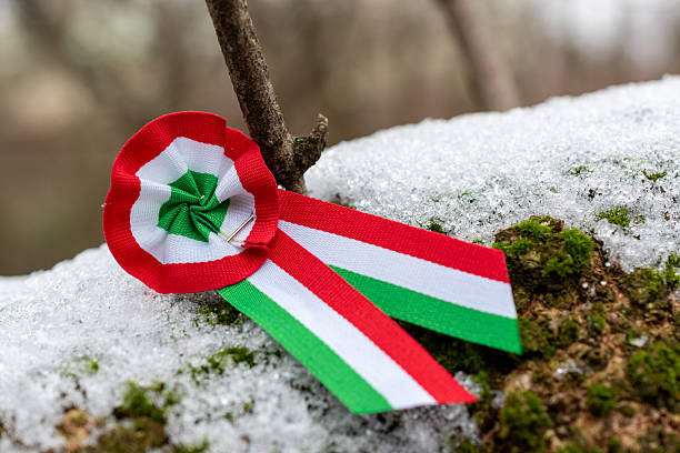 istock Hungarian National Cockade on Snow 2248822357