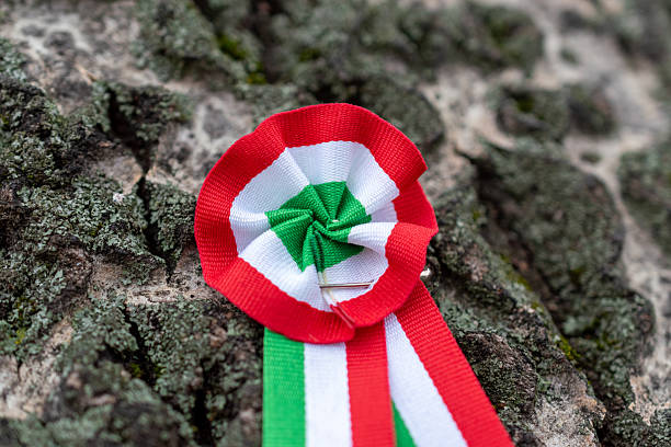 istock Hungarian National Cockade on Tree Bark 2248822361