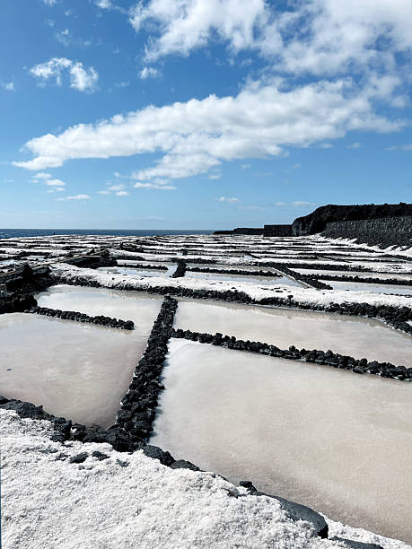 istock Salt production in the  