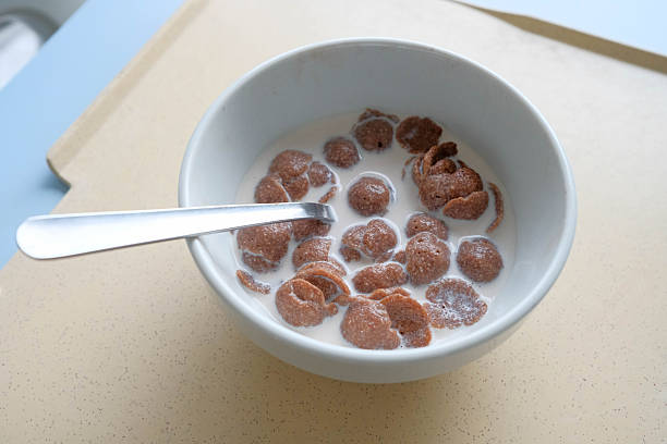 An overhead shot of a white bowl filled with crunchy, chocolate-flavored breakfast cereal flakes soaking in cold milk, with a spoon resting in the bowl.