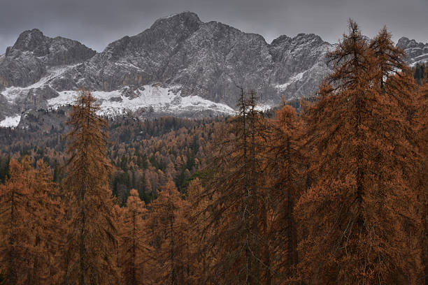 istock Autumn colors in Cortina d'Ampezzo, Dolomites 2248824931