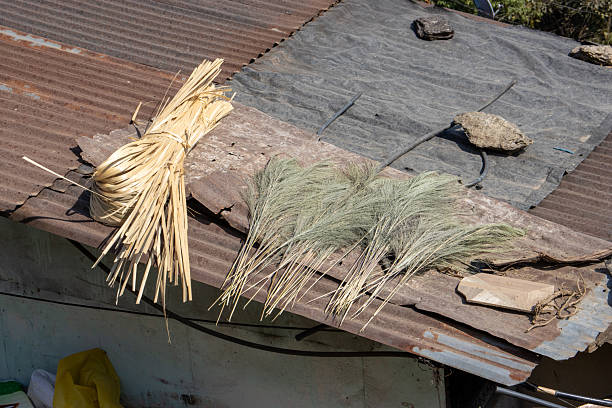 istock tin roof with drying grass Kurseong, Darjeeling, India 2248830296