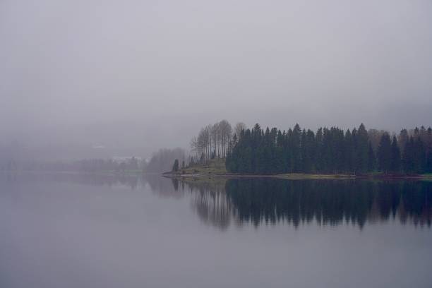 Forested promontory by Lake Selbusjoen emerges from mist