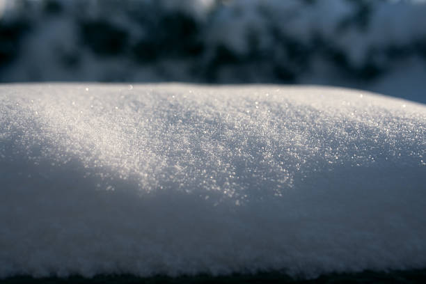 Snowdrift in the garden at dusk
