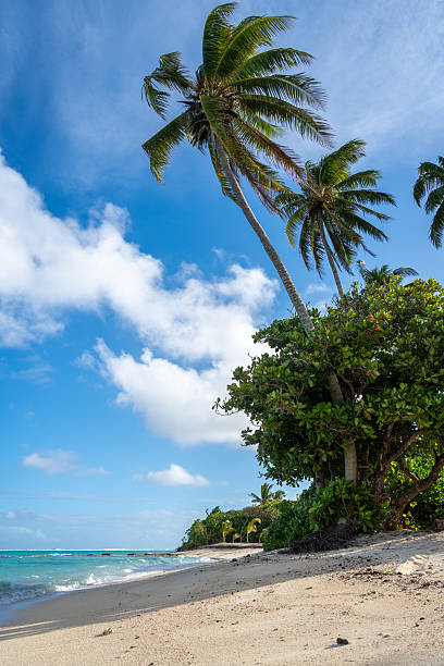 istock Anini Marae Beach on Huahine, French Polynesia, with turquoise waters 2248839980