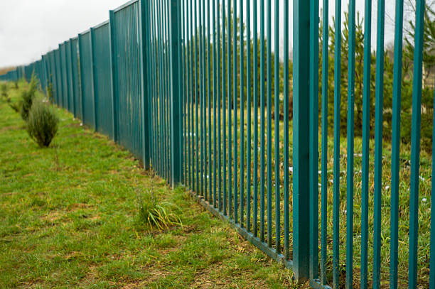 istock high steel fence painted in green 2248841576