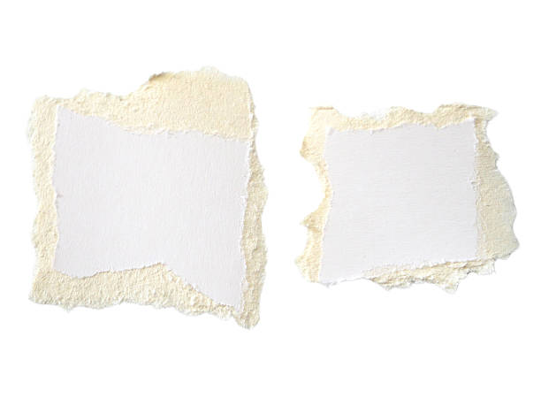 istock Pieces of torn or cut white cardboard isolated design element on transparent background. 2248845265