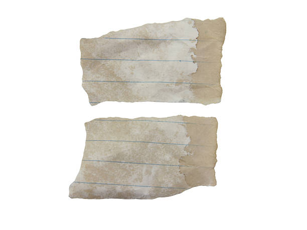 Set of  pieces of notebook paper with white old torn or cut lines. Design elements isolated on white background.