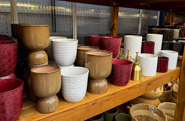istock Different empty ceramic plants pots on wooden shelf at a gardening shop 2248846110