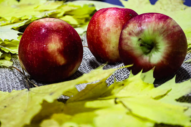 Fresh red apples placed on rough burlap with scattered yellow fall leaves.