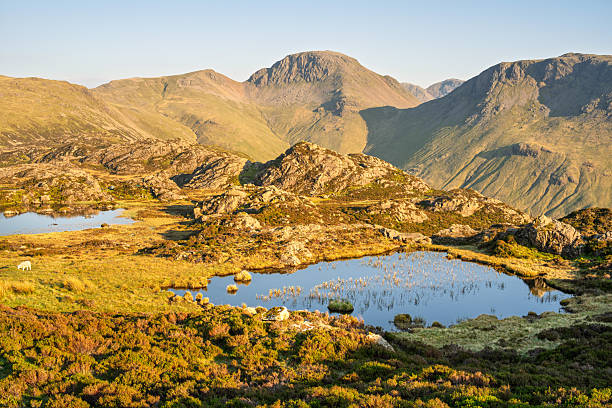 Innominate Tarn in the north of The Lake District National Park with beautiful view of mountains with summer sunshine.