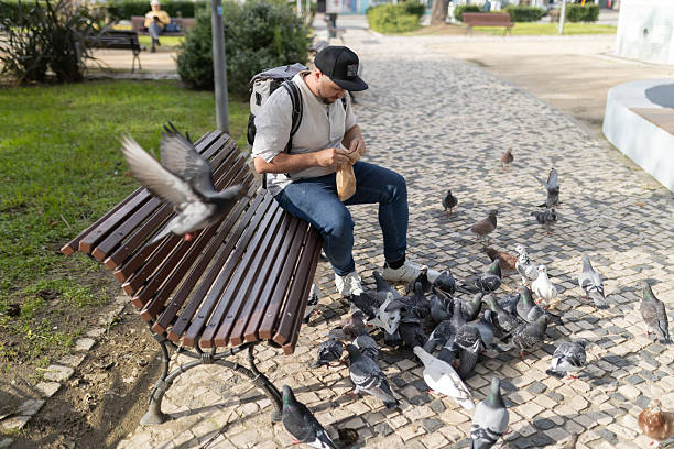 feeding pigeons bread from hand in the square