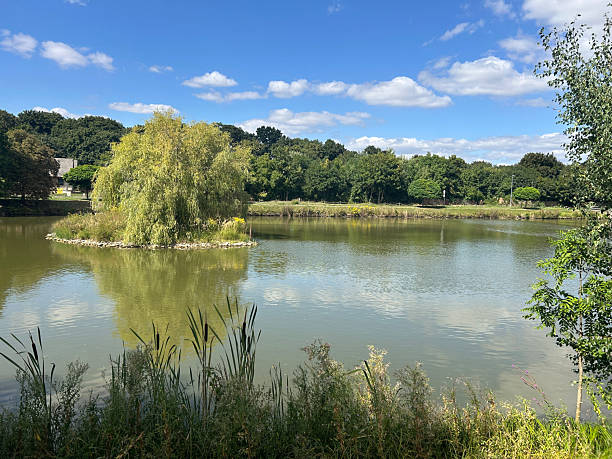 istock beautiful park and garden in the summer 2248857722