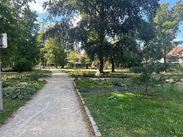 istock beautiful park and garden in the summer 2248857726
