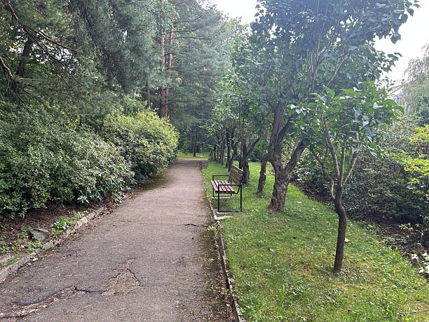 istock beautiful park and garden in the summer 2248858209