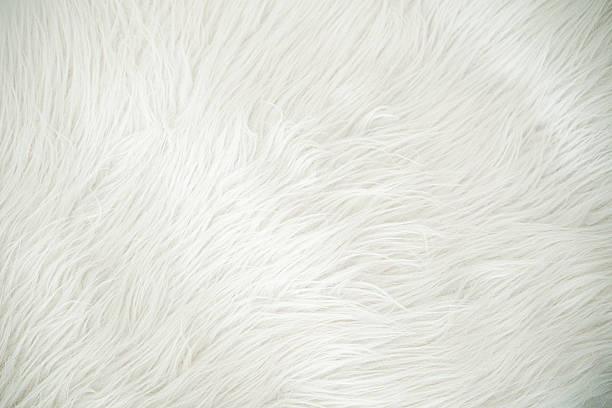 istock Soft white faux fur texture background with fluffy strands detail 2248861584