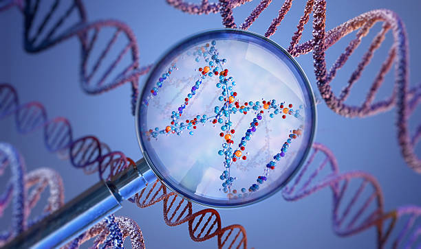 istock Magnifying glass zooming in on a DNA molecule revealing atomic structure. 2248861990