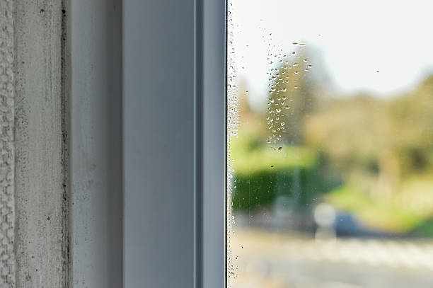 istock Mold and Condensation on Window During Winter 2248864890