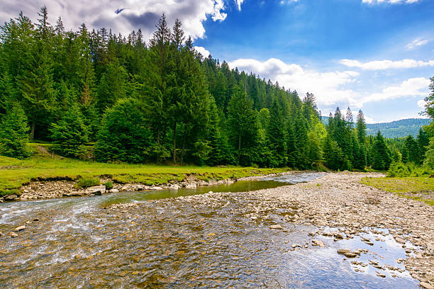 istock landscape with mountains, forest and a river in front 2248865490
