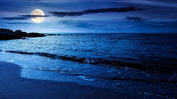 istock panoramic view of sand beach landscape at night 2248865605